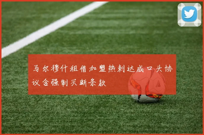 马尔穆什租借加盟热刺达成口头协议含强制买断条款
