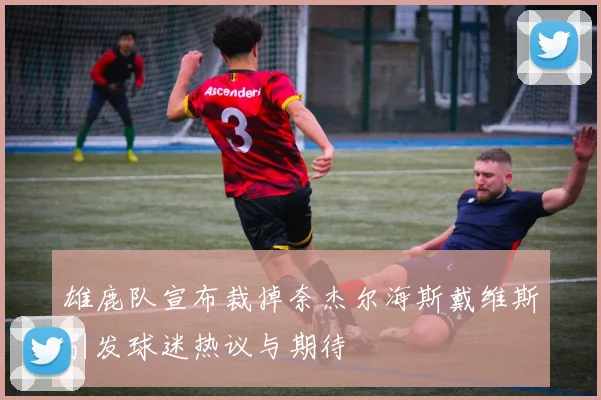 雄鹿队宣布裁掉奈杰尔海斯戴维斯引发球迷热议与期待