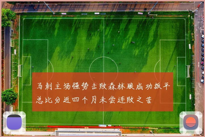 马刺主场强势击败森林狼成功扳平总比分近四个月未尝连败之苦